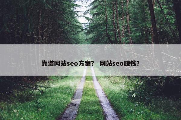 靠谱网站seo方案？ 网站seo赚钱？