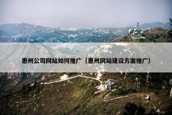 惠州公司网站如何推广（惠州网站建设方案推广）