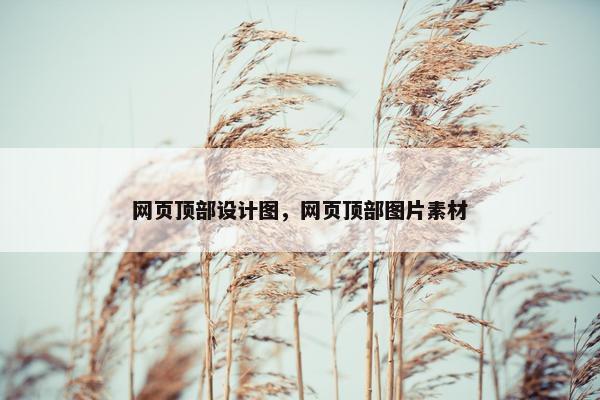 网页顶部设计图，网页顶部图片素材