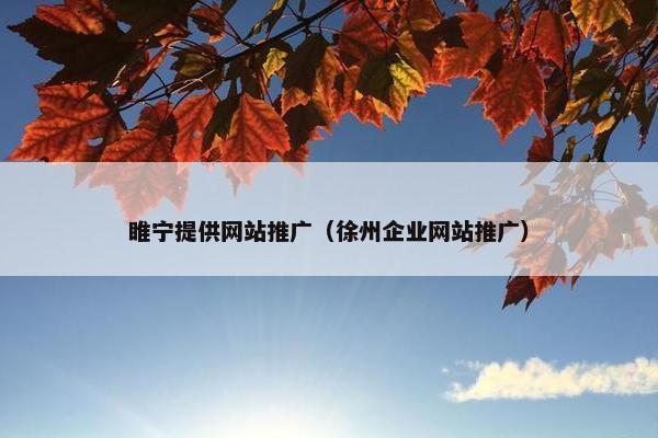 睢宁提供网站推广（徐州企业网站推广）