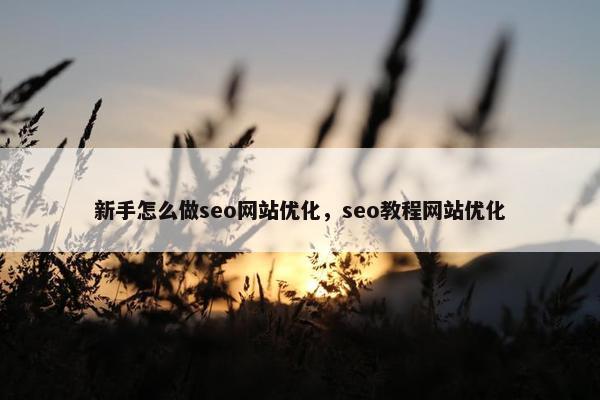 新手怎么做seo网站优化，seo教程网站优化