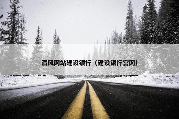 清风网站建设银行（建设银行宫网）