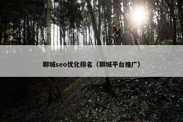 聊城seo优化排名（聊城平台推广）