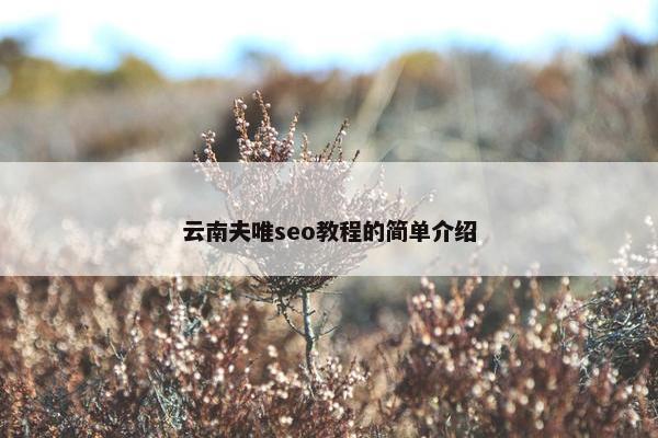 云南夫唯seo教程的简单介绍