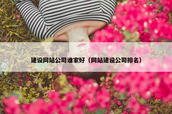 建设网站公司谁家好（网站建设公司排名）