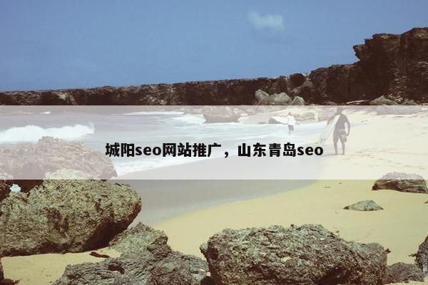 城阳seo网站推广，山东青岛seo