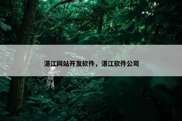 湛江网站开发软件，湛江软件公司