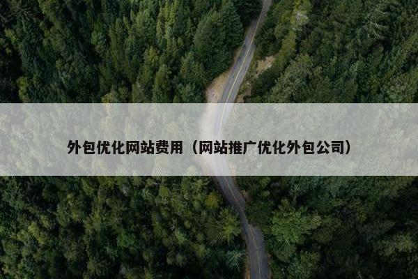 外包优化网站费用（网站推广优化外包公司）