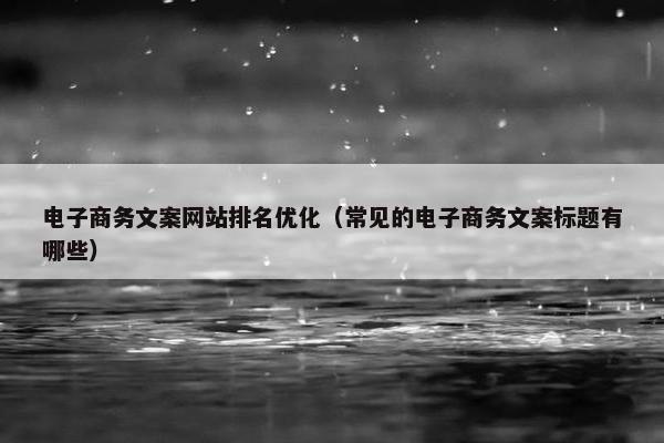 电子商务文案网站排名优化（常见的电子商务文案标题有哪些）