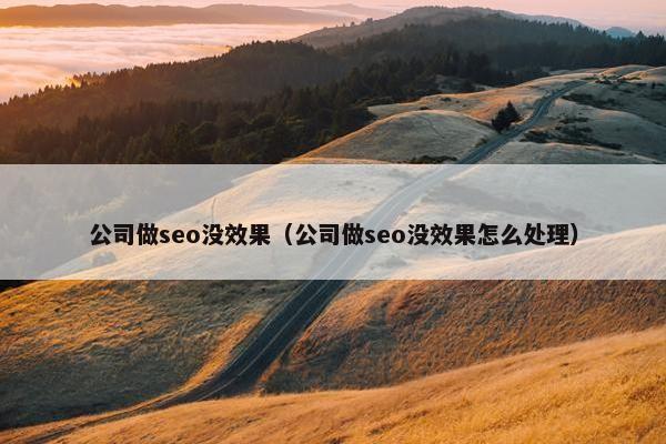 公司做seo没效果（公司做seo没效果怎么处理）