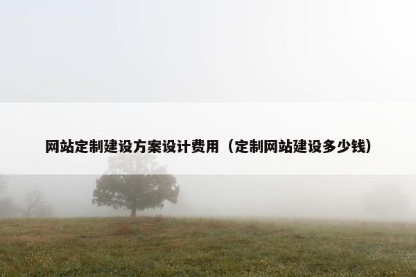 网站定制建设方案设计费用（定制网站建设多少钱）
