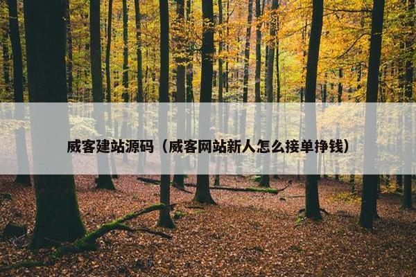威客建站源码（威客网站新人怎么接单挣钱）