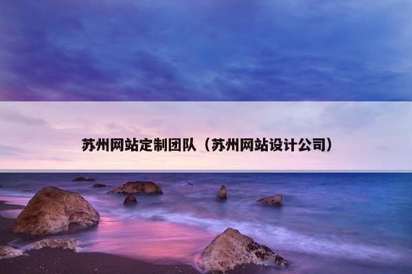 苏州网站定制团队（苏州网站设计公司）