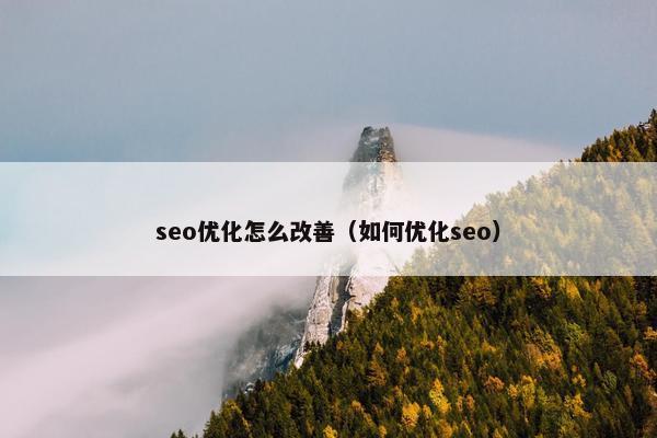 seo优化怎么改善（如何优化seo）