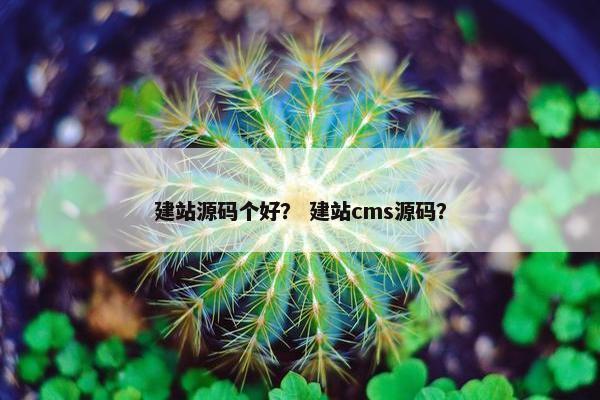 建站源码个好？ 建站cms源码？