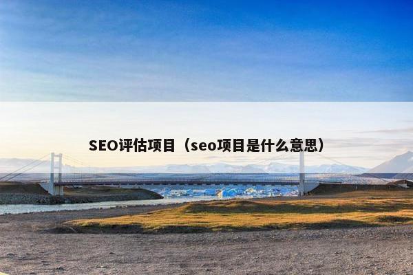 SEO评估项目（seo项目是什么意思）