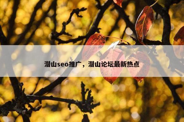 潜山seo推广，潜山论坛最新热点