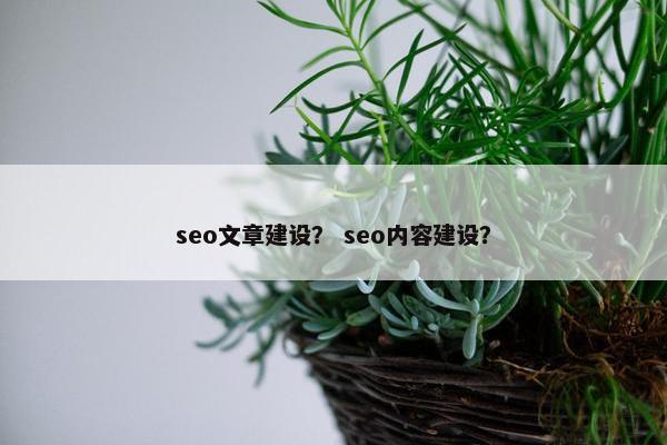 seo文章建设？ seo内容建设？