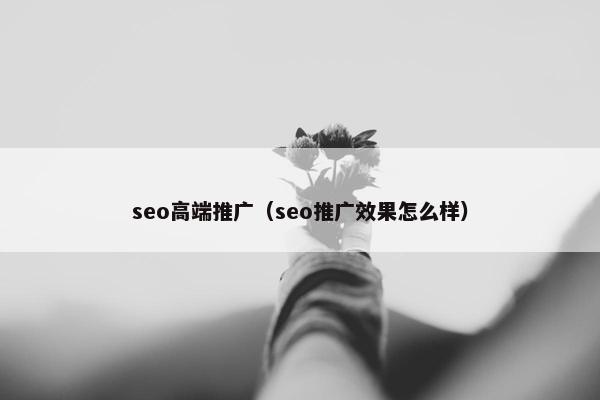 seo高端推广（seo推广效果怎么样）