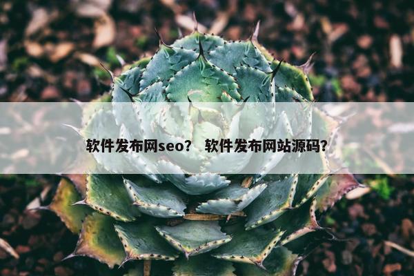 软件发布网seo？ 软件发布网站源码？