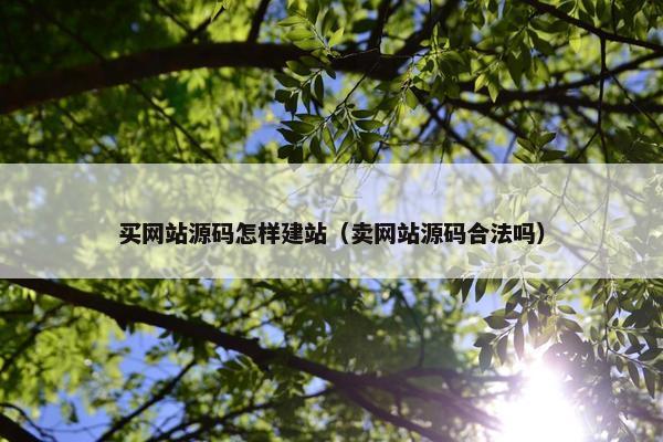 买网站源码怎样建站（卖网站源码合法吗）