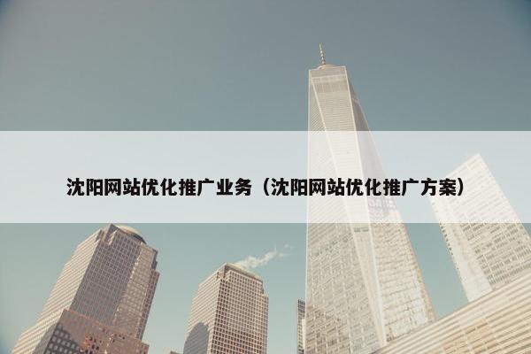 沈阳网站优化推广业务（沈阳网站优化推广方案）
