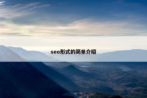 seo形式的简单介绍