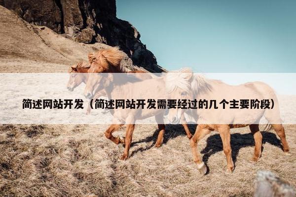 简述网站开发（简述网站开发需要经过的几个主要阶段）