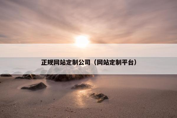 正规网站定制公司（网站定制平台）