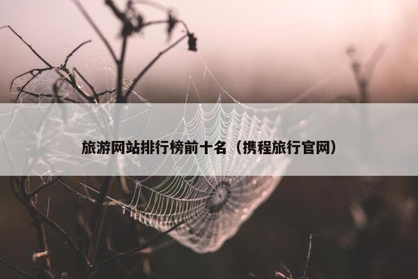 旅游网站排行榜前十名（携程旅行官网）