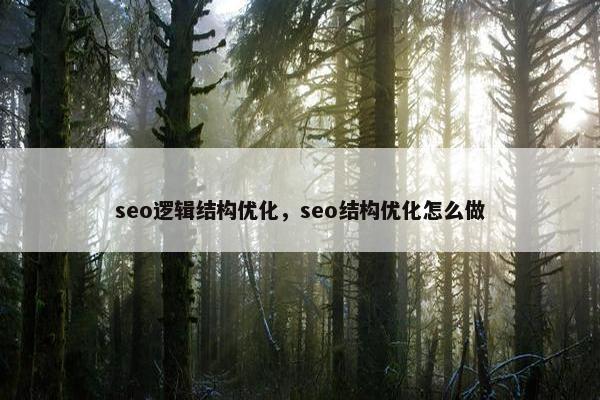 seo逻辑结构优化，seo结构优化怎么做