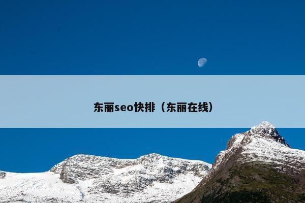 东丽seo快排（东丽在线）