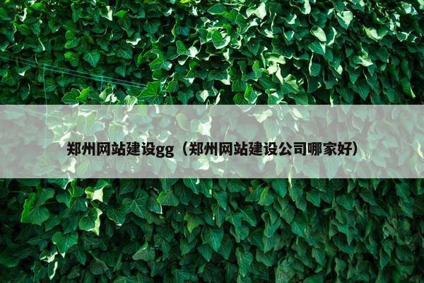 郑州网站建设gg（郑州网站建设公司哪家好）