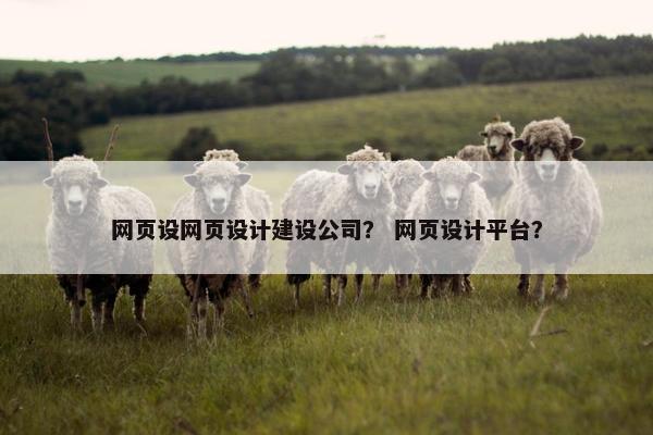 网页设网页设计建设公司？ 网页设计平台？