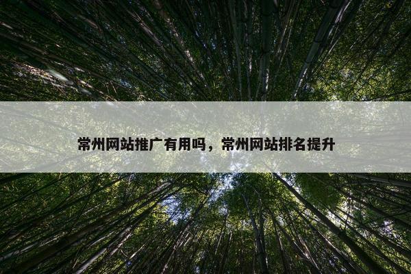 常州网站推广有用吗，常州网站排名提升