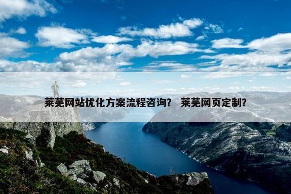 莱芜网站优化方案流程咨询？ 莱芜网页定制？