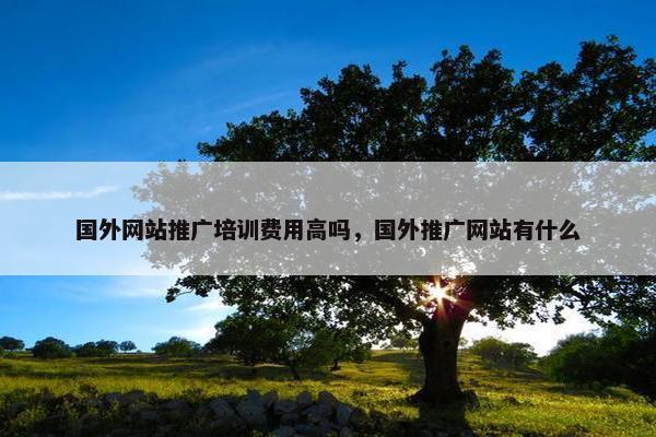 国外网站推广培训费用高吗，国外推广网站有什么