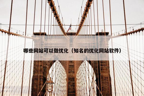 哪些网站可以做优化（知名的优化网站软件）