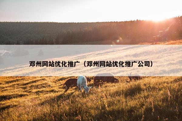 邓州网站优化推广（邓州网站优化推广公司）