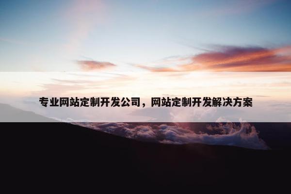 专业网站定制开发公司，网站定制开发解决方案