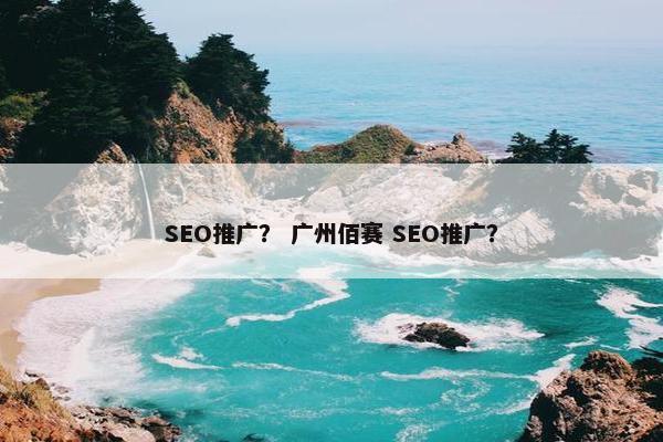 SEO推广？ 广州佰赛 SEO推广？