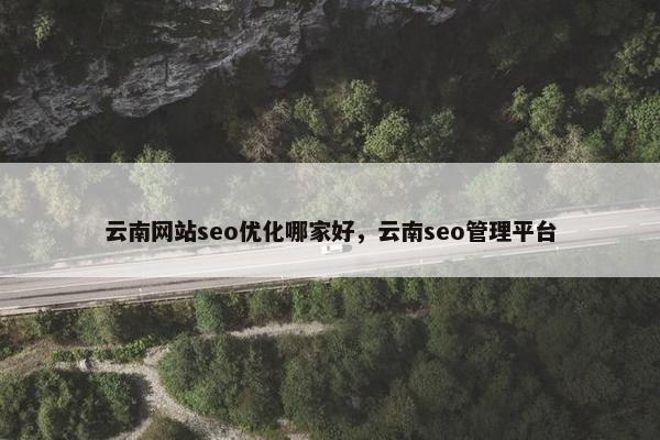 云南网站seo优化哪家好，云南seo管理平台