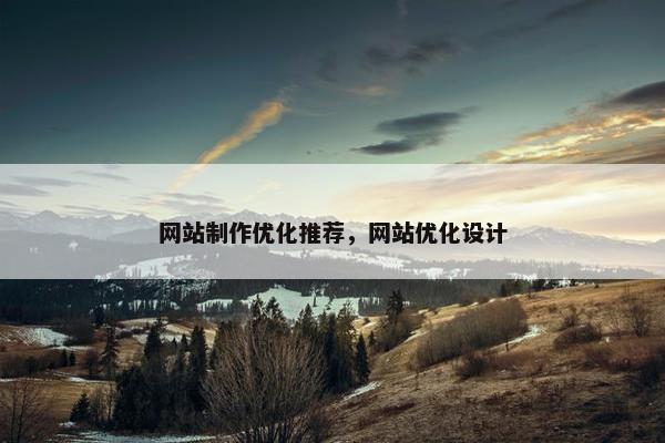 网站制作优化推荐，网站优化设计