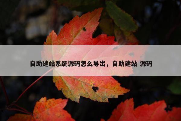 自助建站系统源码怎么导出，自助建站 源码