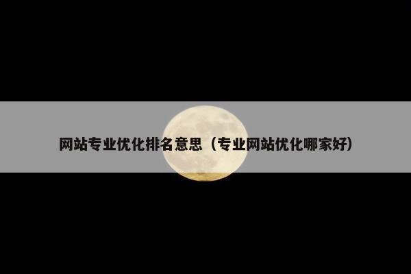 网站专业优化排名意思（专业网站优化哪家好）