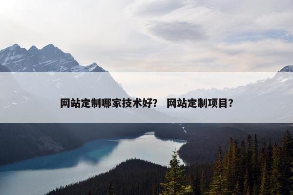 网站定制哪家技术好？ 网站定制项目？
