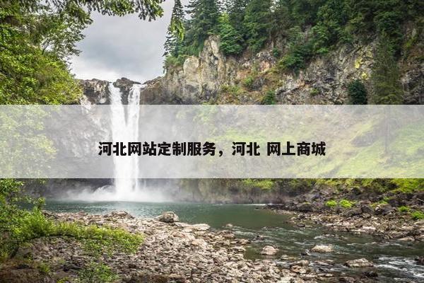 河北网站定制服务，河北 网上商城