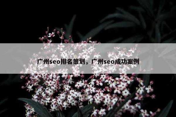广州seo排名策划，广州seo成功案例