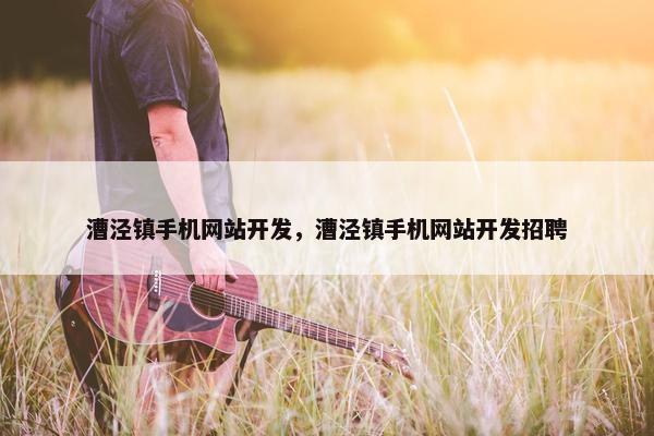漕泾镇手机网站开发，漕泾镇手机网站开发招聘