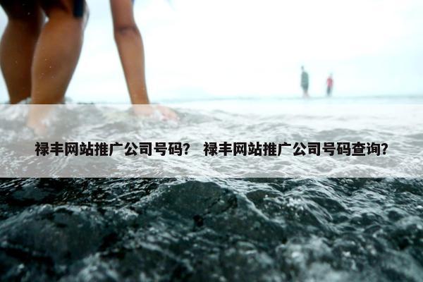 禄丰网站推广公司号码？ 禄丰网站推广公司号码查询？